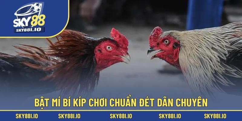 Bật mí bí kíp chơi chuẩn đét dân chuyên