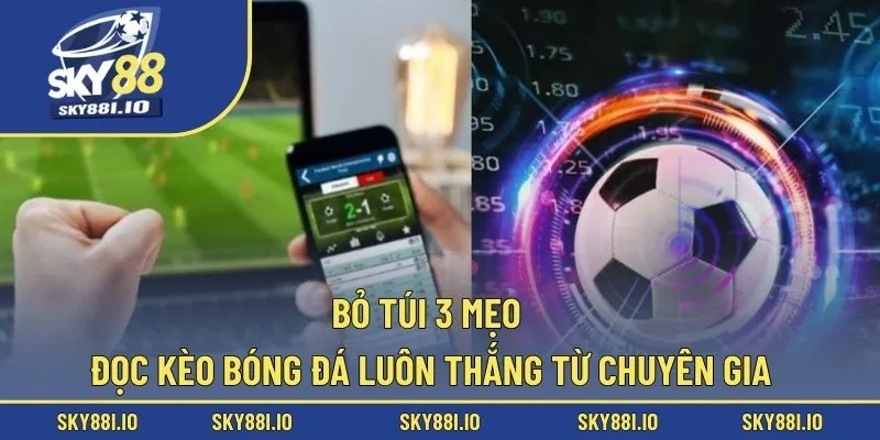 Bỏ túi 3 mẹo đọc kèo bóng đá luôn thắng từ chuyên gia