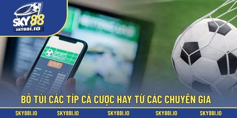 Bỏ túi các típ cá cược hay từ các chuyên gia