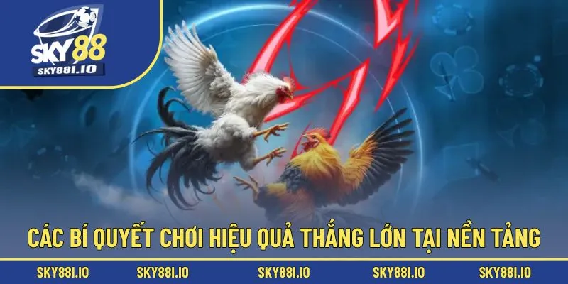 Các bí quyết chơi hiệu quả thắng lớn tại nền tảng