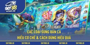 Các loại súng bắn cá