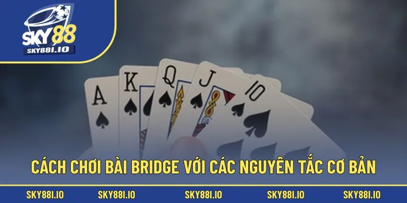 Cách chơi bài Bridge với các nguyên tắc cơ bản