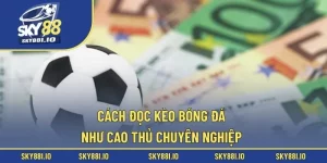 cách đọc kèo bóng đá
