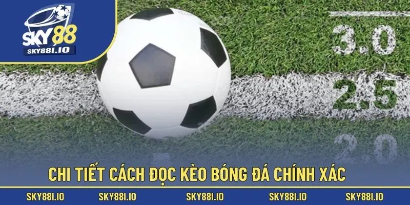 Chi tiết cách đọc kèo bóng đá chính xác