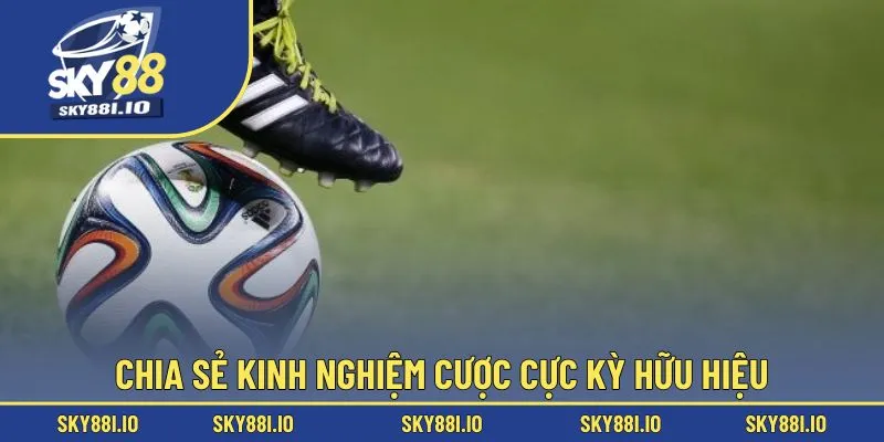 Chia sẻ kinh nghiệm cược cực kỳ hữu hiệu