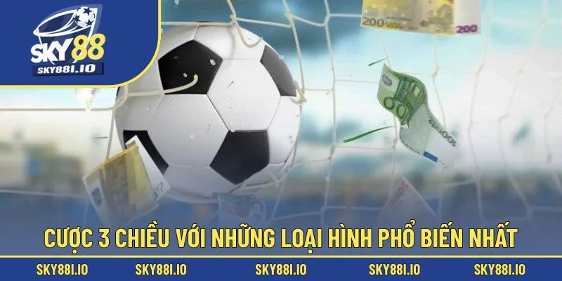 Cược 3 chiều với những loại hình phổ biến nhất