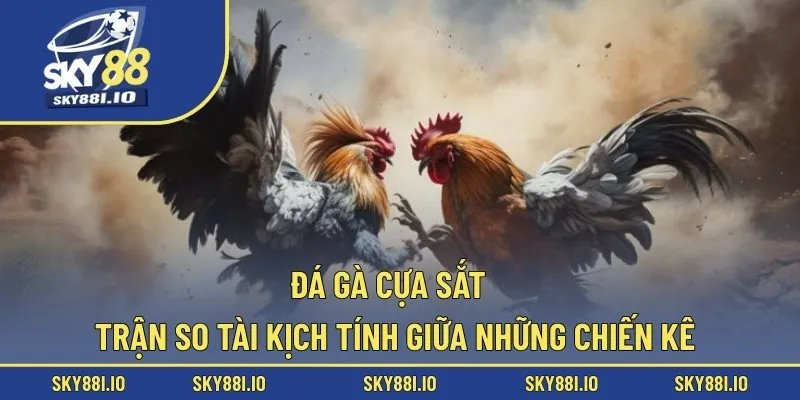 đá gà cựa sắt