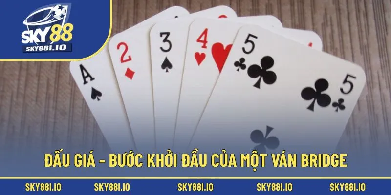 Đấu giá - Bước khởi đầu của một ván Bridge