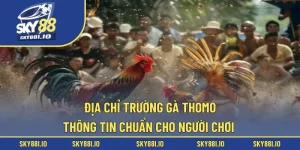 địa chỉ trường gà thomo
