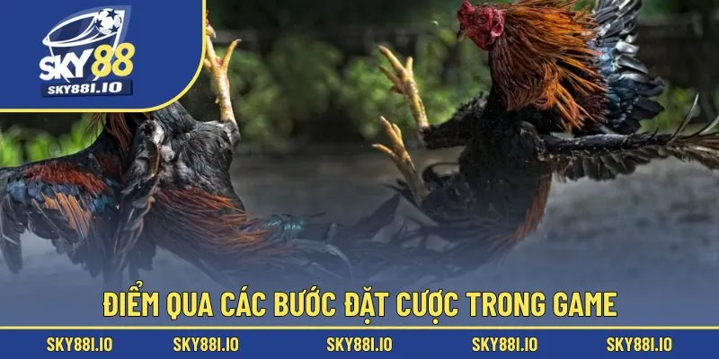 Điểm qua các bước đặt cược trong game