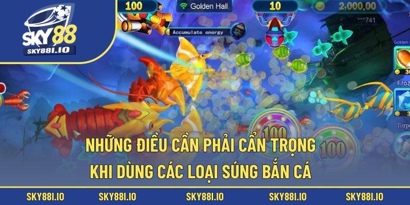 Những điều cần phải cẩn trọng khi dùng các loại súng bắn cá