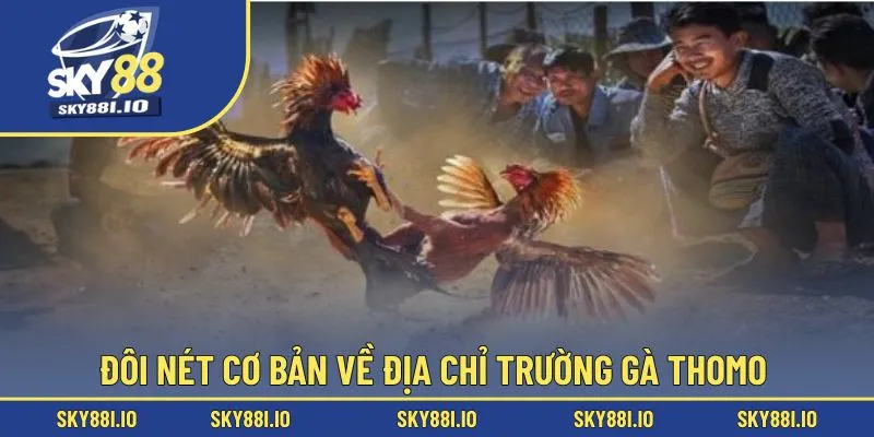 Đôi nét cơ bản về địa chỉ trường gà thomo