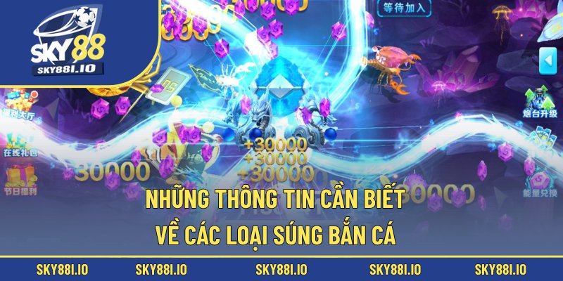 Những thông tin cần biết về các loại súng bắn cá