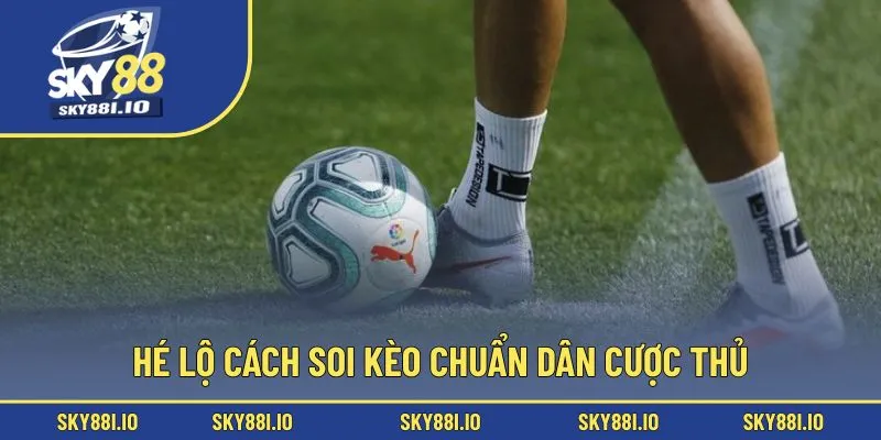 Hé lộ cách soi kèo chuẩn dân cược thủ