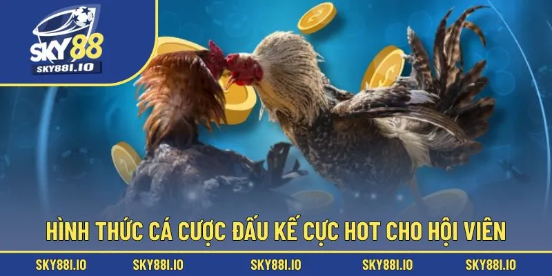 Hình thức cá cược đấu kế cực HOT cho hội viên