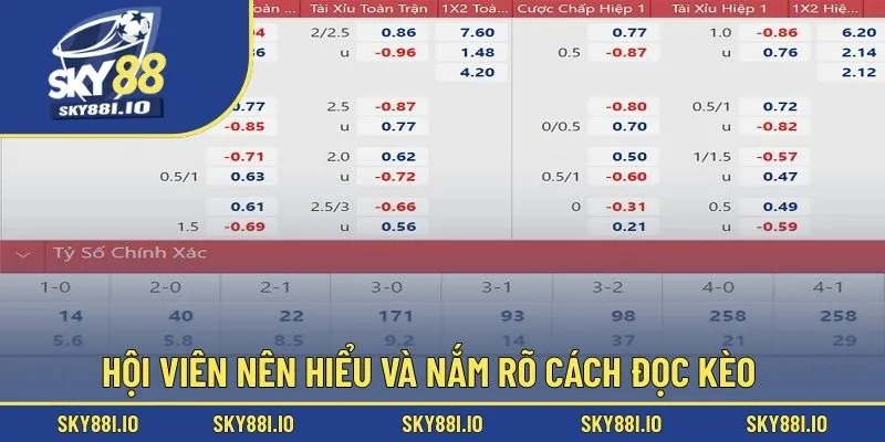 Hội viên nên hiểu và nắm rõ cách đọc kèo