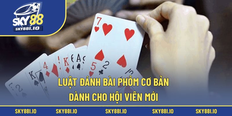 Luật đánh bài phỏm cơ bản dành cho hội viên mới