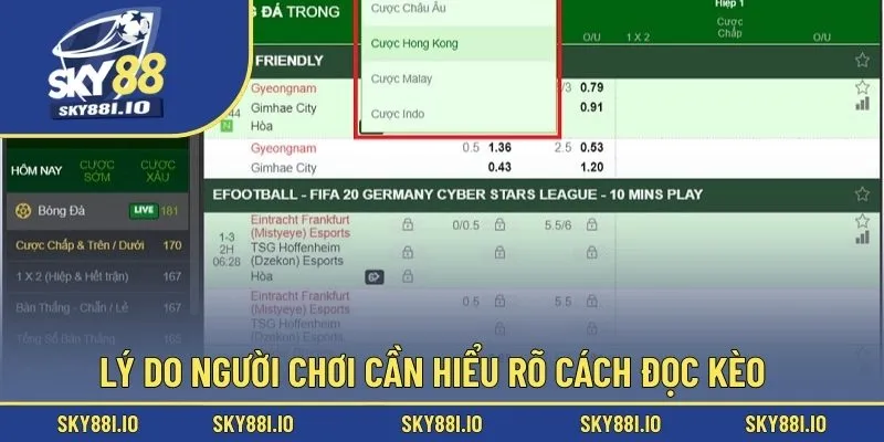 Lý do người chơi cần hiểu rõ cách đọc kèo