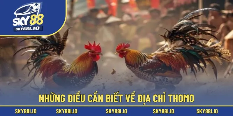 Những điều cần biết về địa chỉ thomo