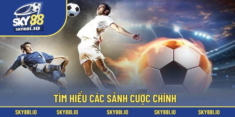 Tìm hiểu các sảnh cược chính