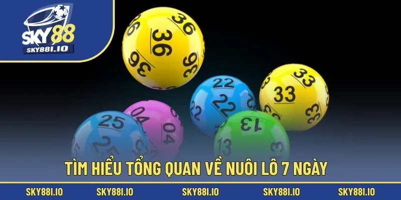 Tìm hiểu tổng quan về nuôi lô 7 ngày