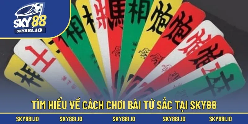 Tìm hiểu về cách chơi bài tứ sắc tại Sky88
