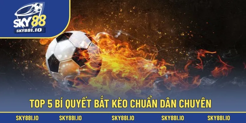 Top 5 bí quyết bắt kèo chuẩn dân chuyên